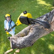 Best Grass Overseeding  in Richmond, CA